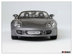 Porsche Carrera GT 05